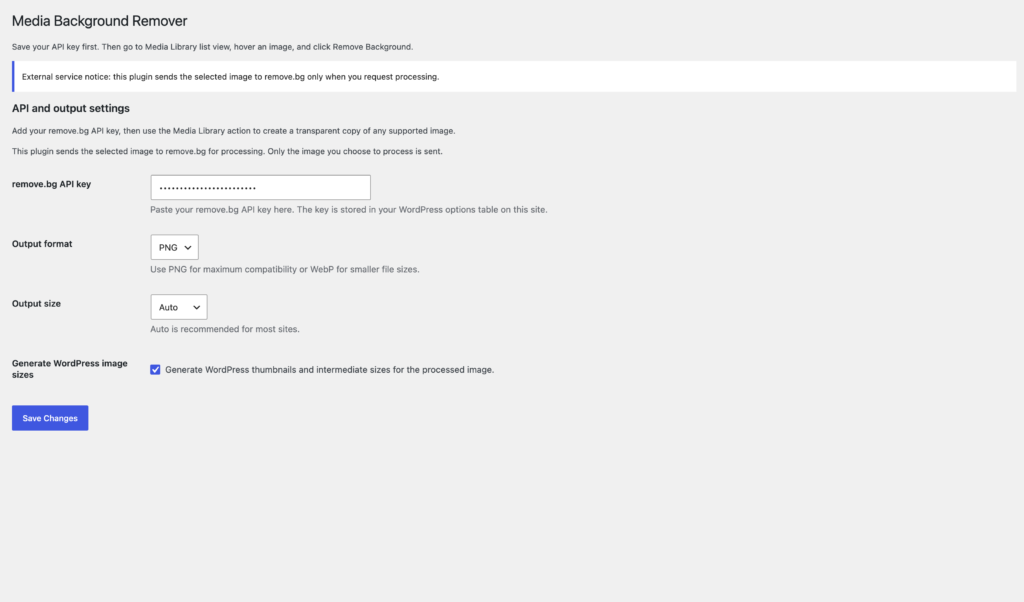 Settings: API key, output format and output size.